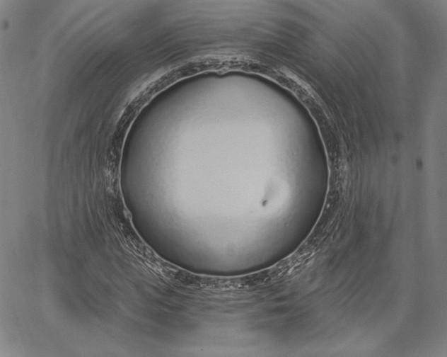 X0000067330823200604131658