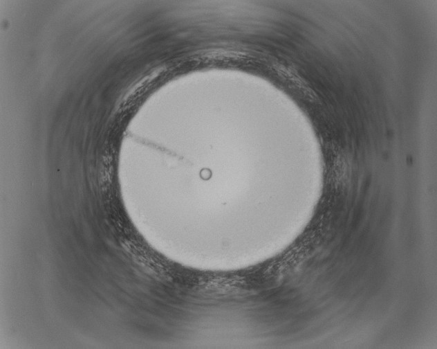 X0000067330824200604131658