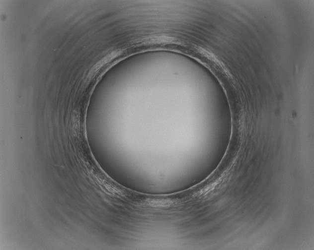 X0000067330825200604131658