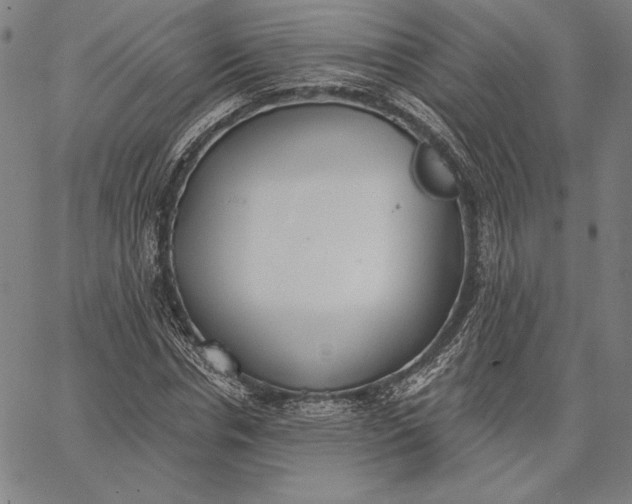 X0000067330826200604131658