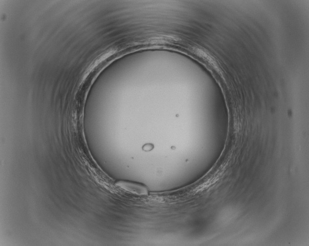 X0000067330827200604131658