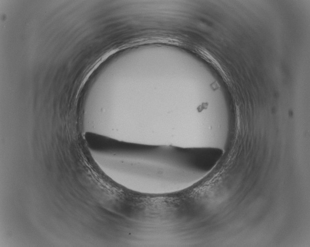 X0000067330828200604131658