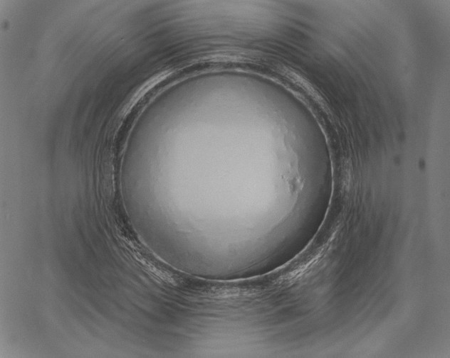 X0000067330829200604131658