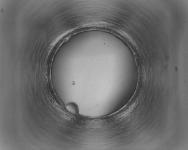 X0000067330830200604131658