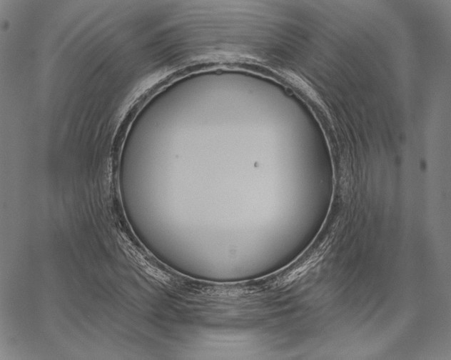 X0000067330831200604131658