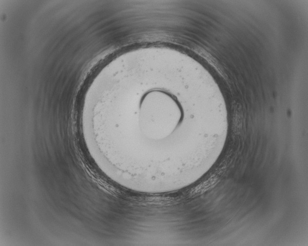 X0000067330832200604131658