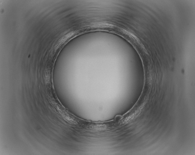 X0000067330833200604131658