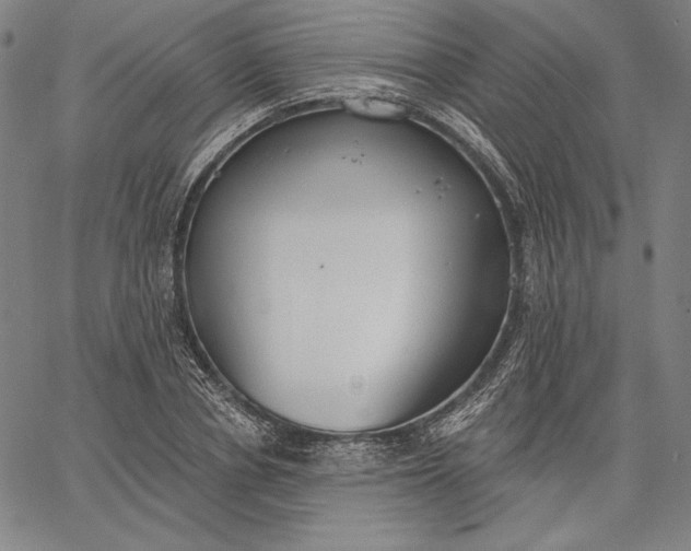 X0000067330834200604131658