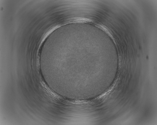 X0000067330835200604131658