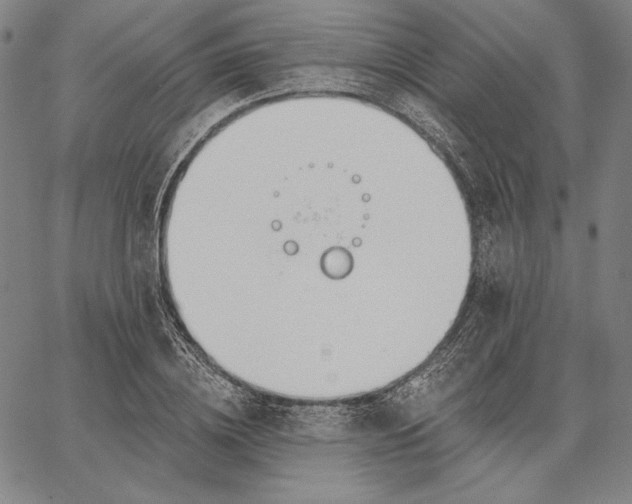 X0000067330836200604131658