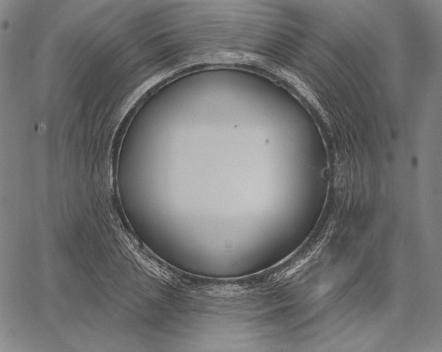 X0000067330837200604131658