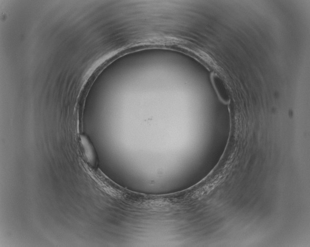 X0000067330838200604131658