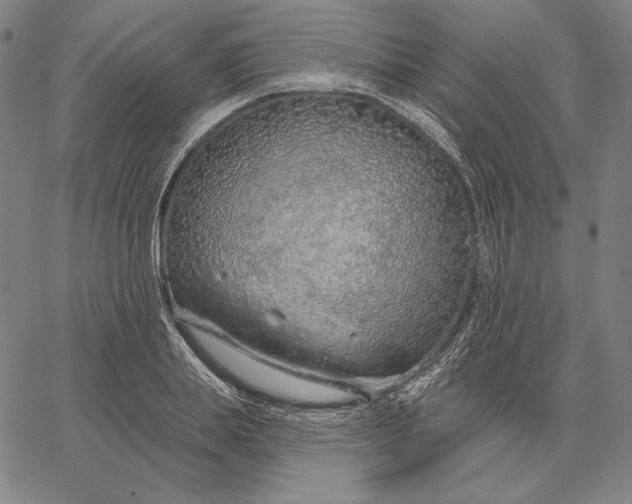 X0000067330839200604131658