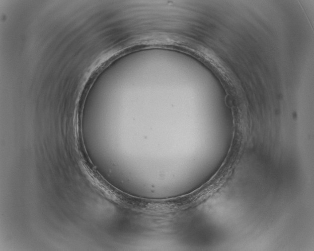 X0000067330840200604131658