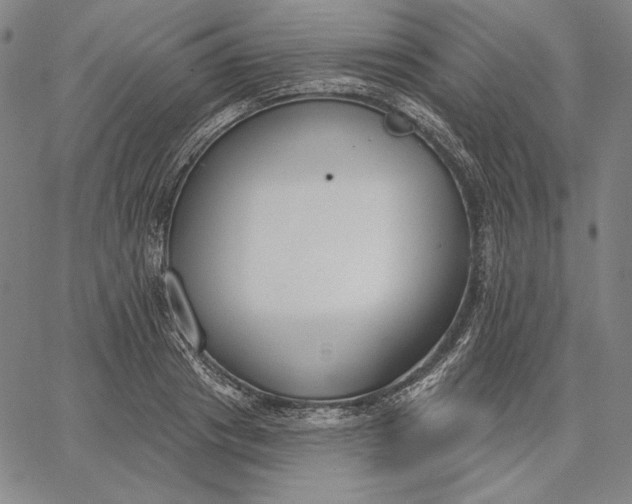 X0000067330841200604131658