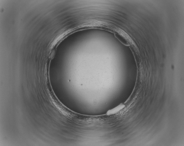 X0000067330842200604131658