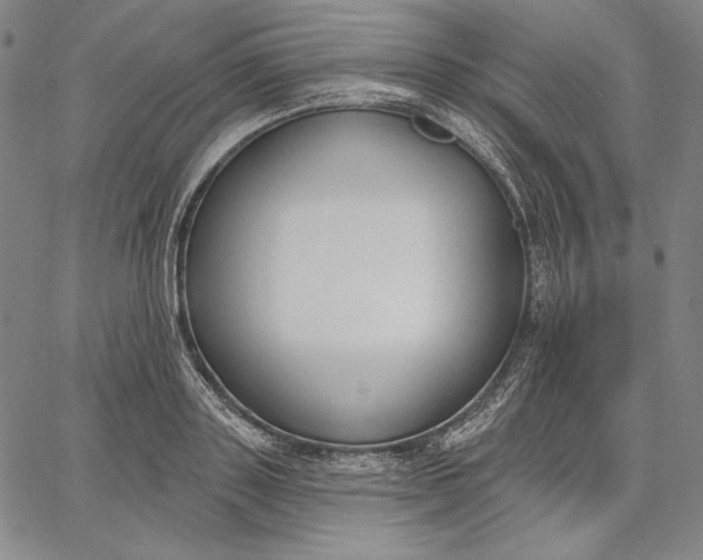 X0000067330843200604131658