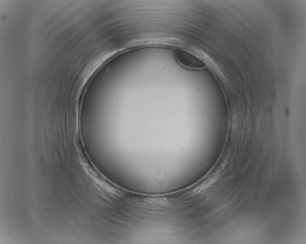 X0000067330844200604131658