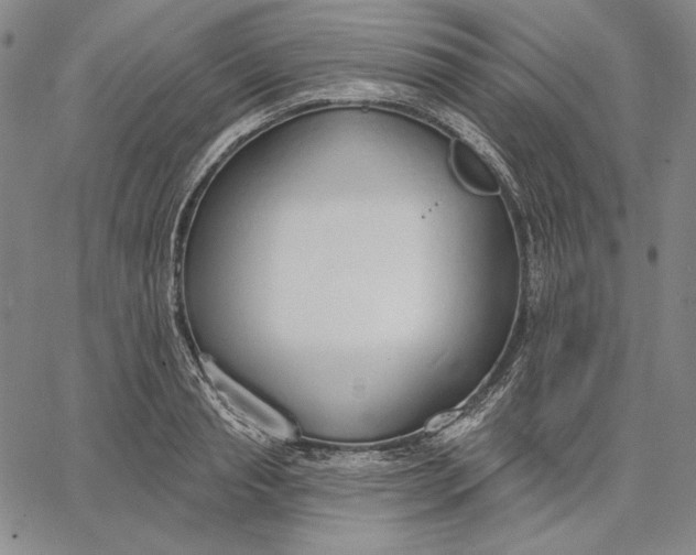 X0000067330845200604131658