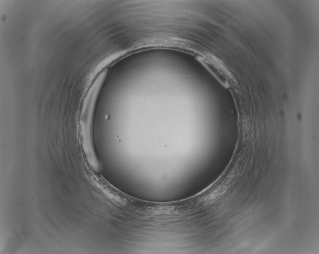 X0000067330846200604131659