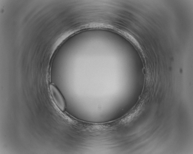 X0000067330847200604131659