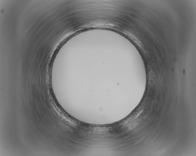 X0000067330848200604131659