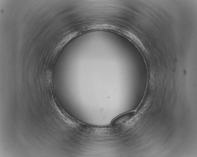 X0000067330849200604131659