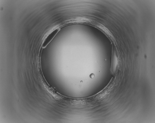 X0000067330850200604131659