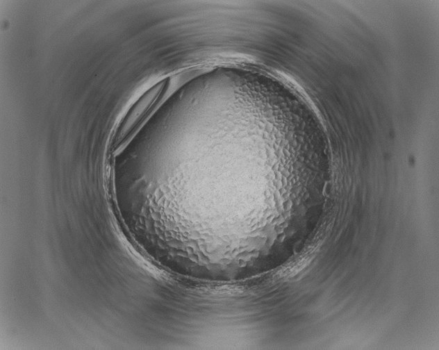 X0000067330851200604131659