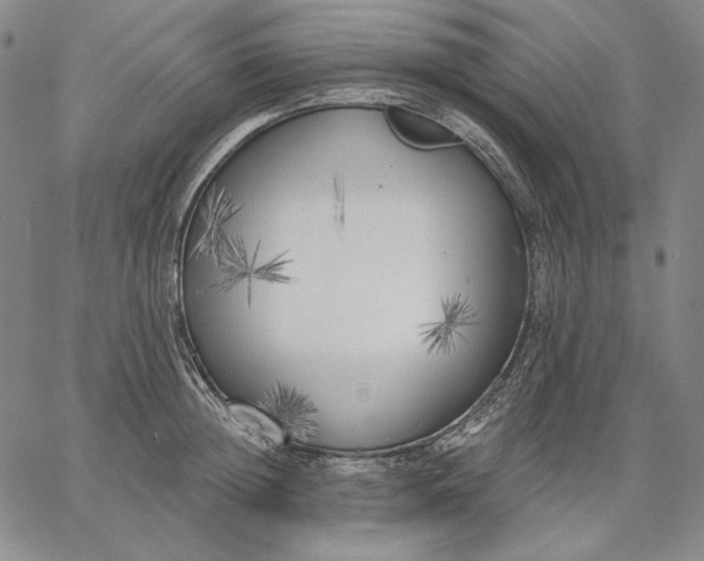 X0000067330852200604131659