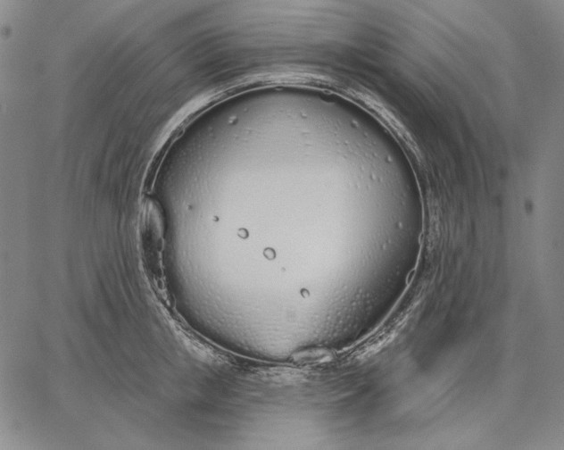 X0000067330853200604131659