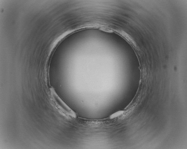 X0000067330854200604131659