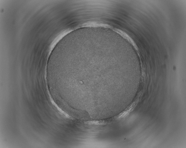 X0000067330855200604131659