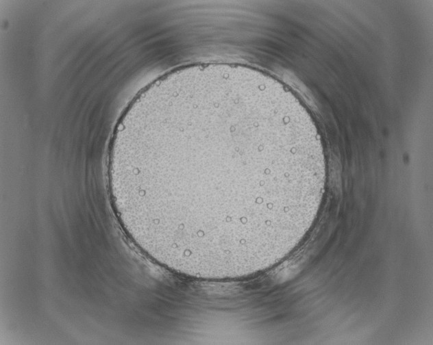 X0000067330856200604131659