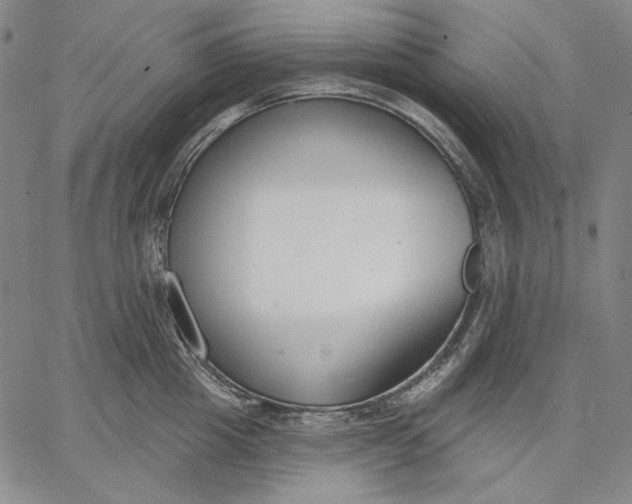 X0000067330857200604131659