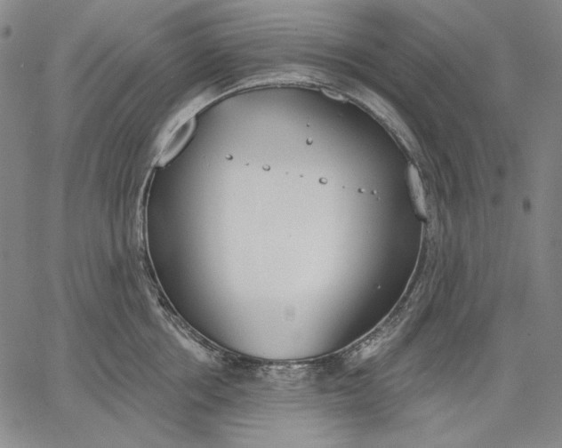 X0000067330858200604131659