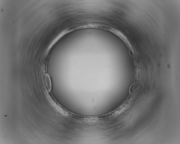 X0000067330859200604131659