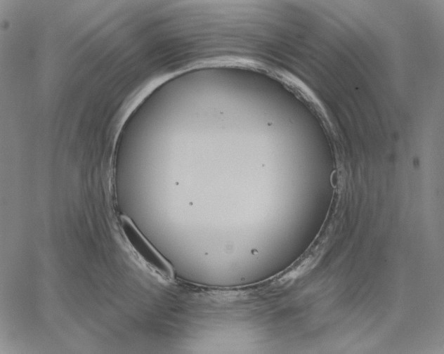 X0000067330860200604131659