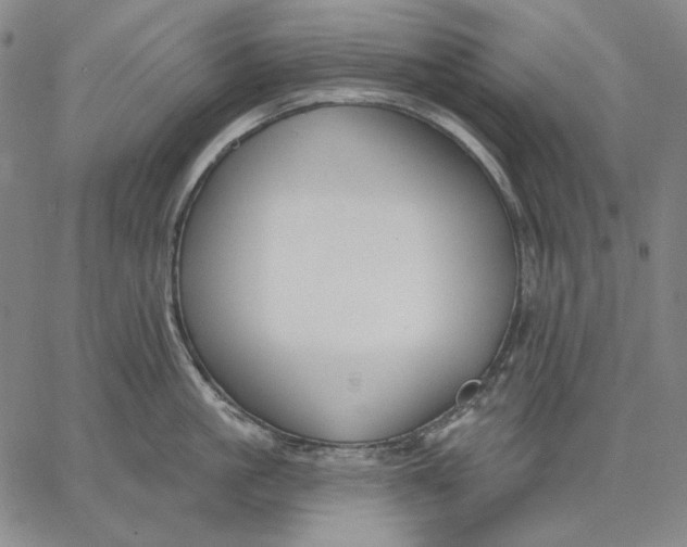 X0000067330861200604131659