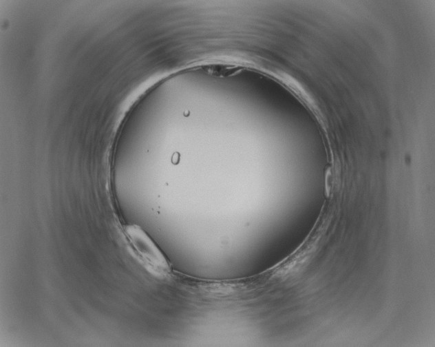 X0000067330862200604131659