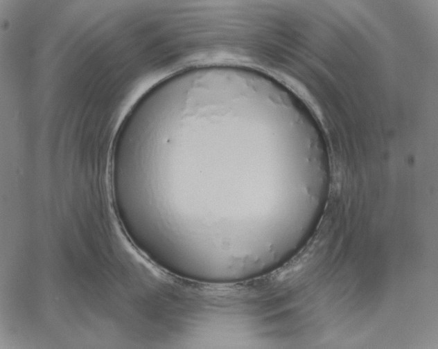 X0000067330863200604131659