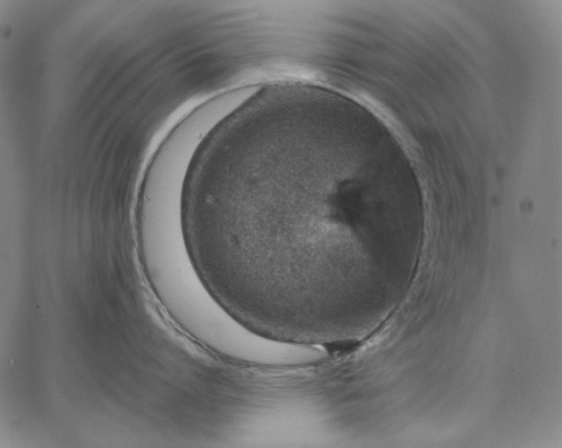 X0000067330864200604131659