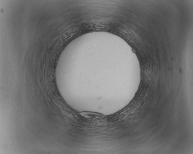 X0000067330865200604131658