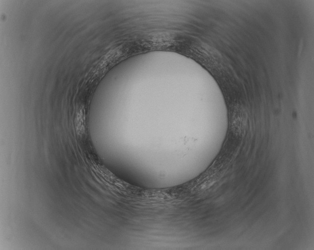 X0000067330866200604131658