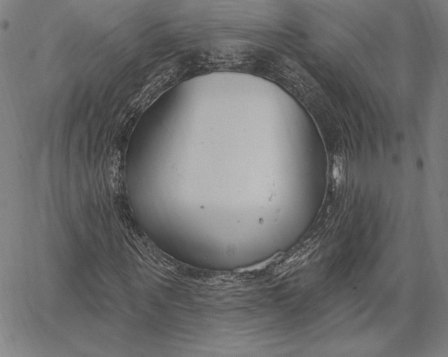 X0000067330867200604131658