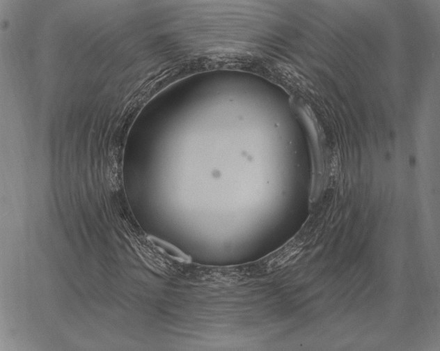 X0000067330868200604131658