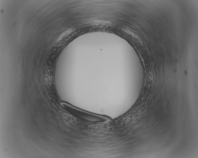 X0000067330869200604131658