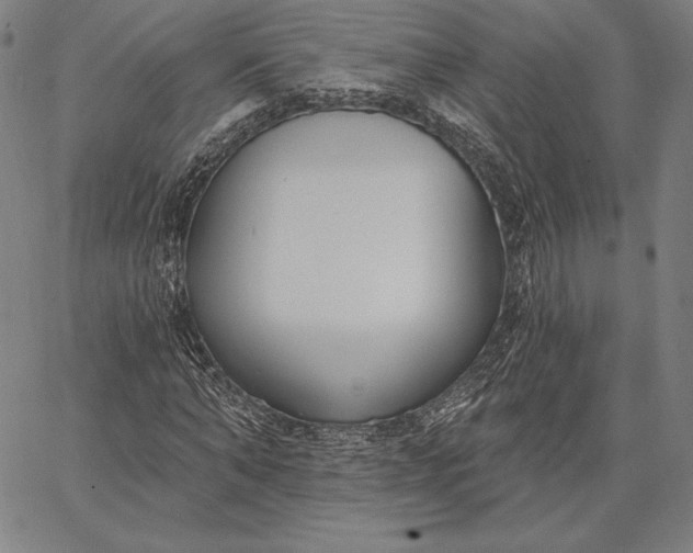 X0000067330870200604131658