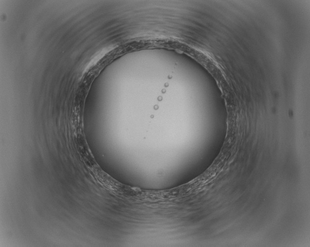 X0000067330871200604131658