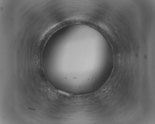 X0000067330872200604131658